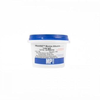 Bovine Serum Albumin